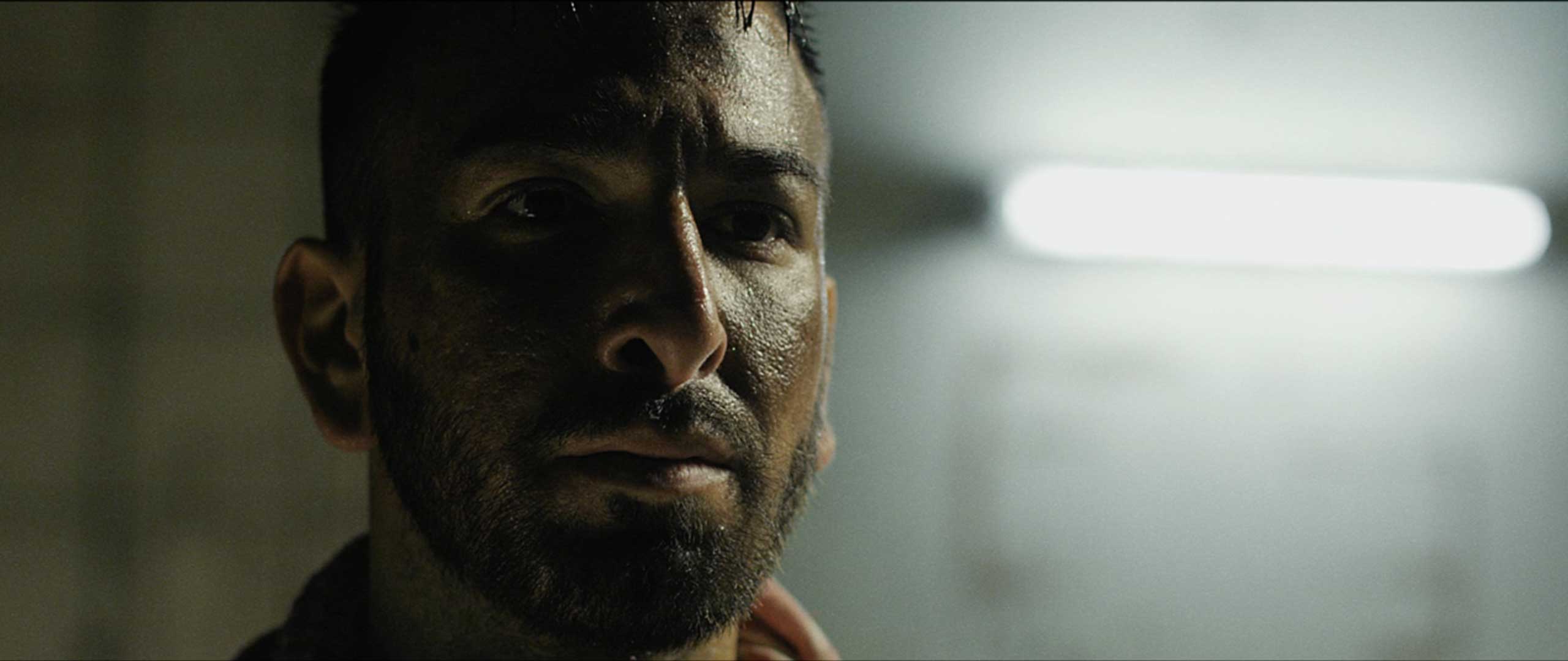 closeup
